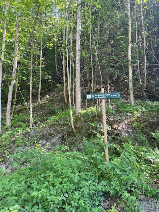 Appartamento Fin Sentralt Hybel I Drammen Esterno foto