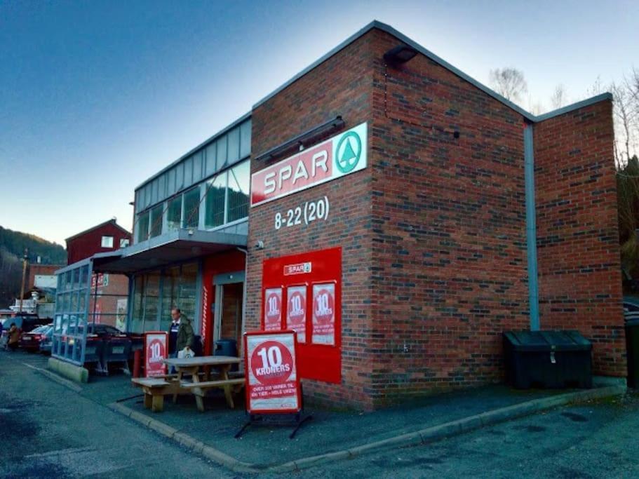 Appartamento Fin Sentralt Hybel I Drammen Esterno foto